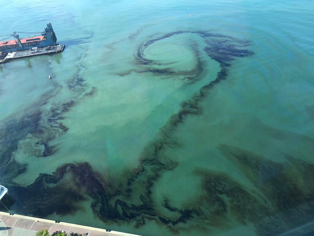 Mystery Oil Spill At Waterfront Trinidad Guardian