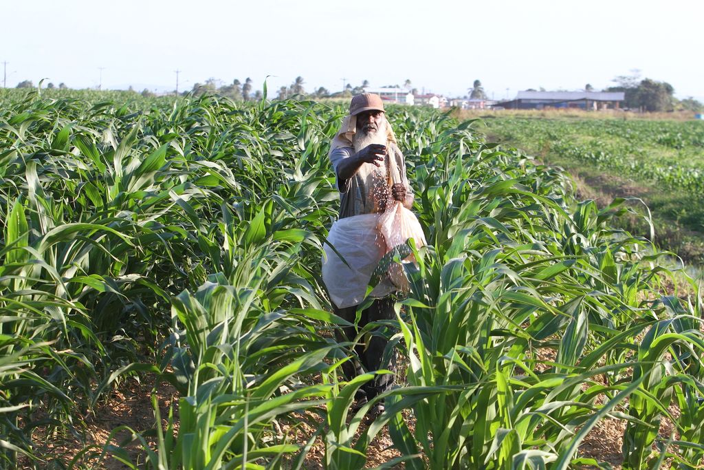 $400M more goes to boost agriculture sector - Trinidad Guardian