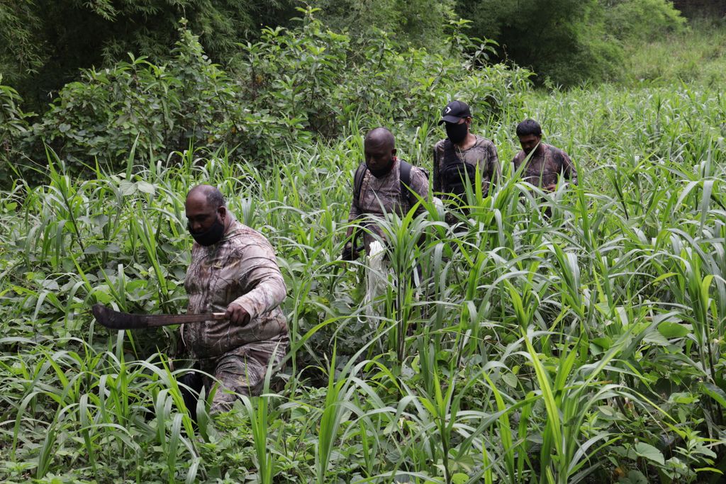 Hunters Search and Rescue Team urges public: Seek our help for missing ...