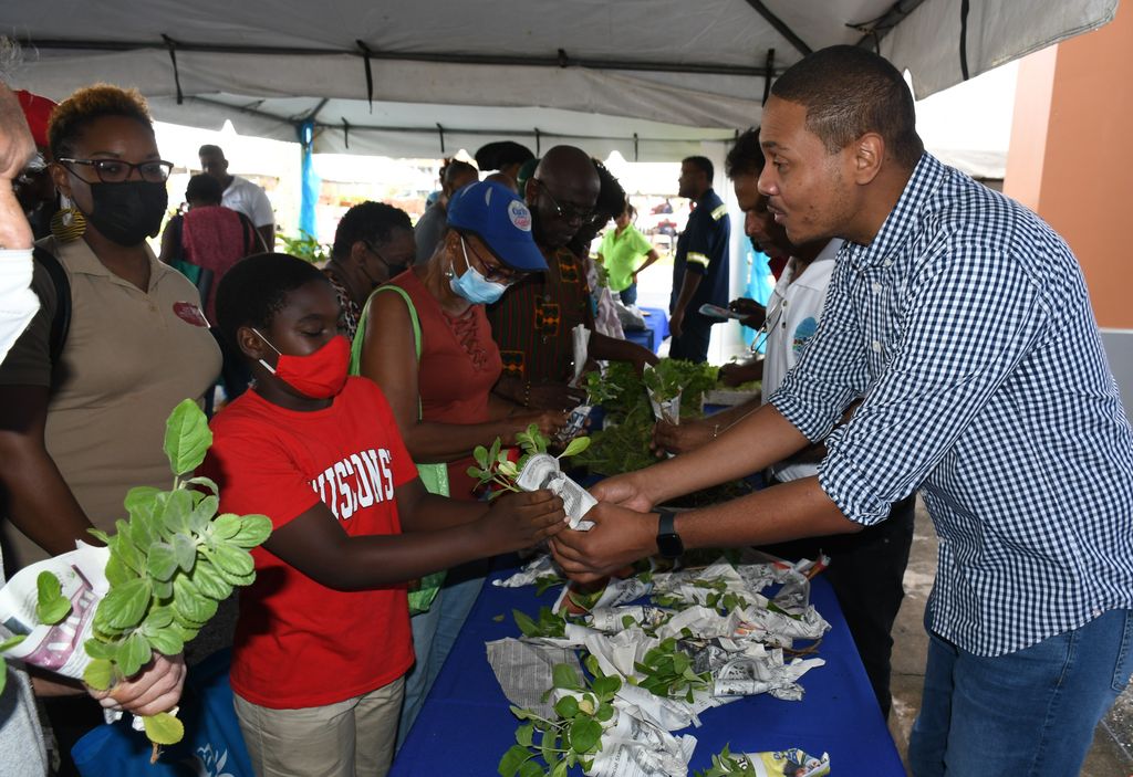 Obesity on the rise in women says FAO - Trinidad Guardian