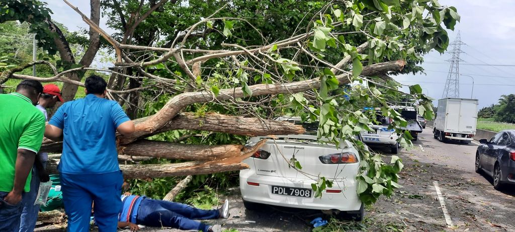 Freak accident survivors back home recovering - Trinidad Guardian