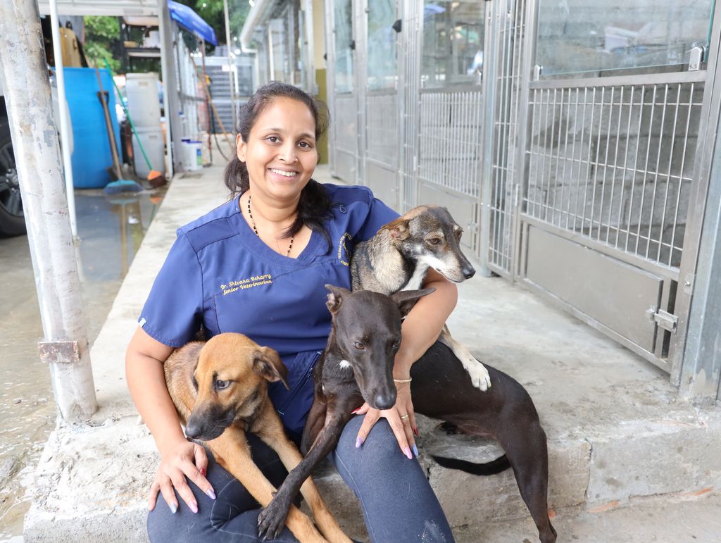 Animal rescue group wants more citizens to adopt or foster dogs ...