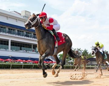 Implementation earned a career-best 97 Beyer Speed Figure while posting his second consecutive stakes win in the Smile. 