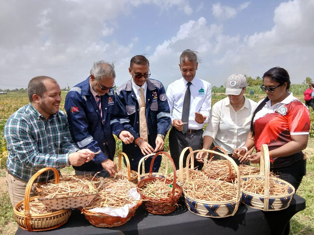 news item image